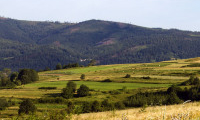 geobusiness-magazine-katastr-nemovitosti-poskytovani-dat-feat