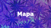 mapa pestirny marihuana laboratore pervitin metamfetamin policie čr