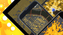 ESRI MOOC / GeoBusiness