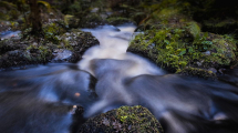 voda-f foto unsplash