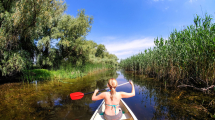 attractive-danube-projekt-f