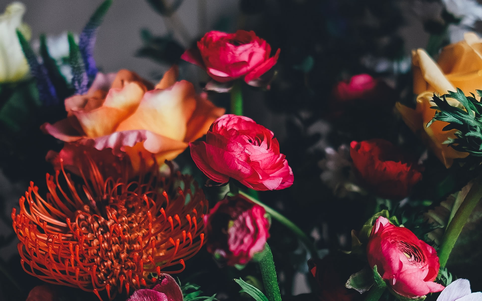velky-prehled-knihy-programovani / foto Annie Spratt Unsplash